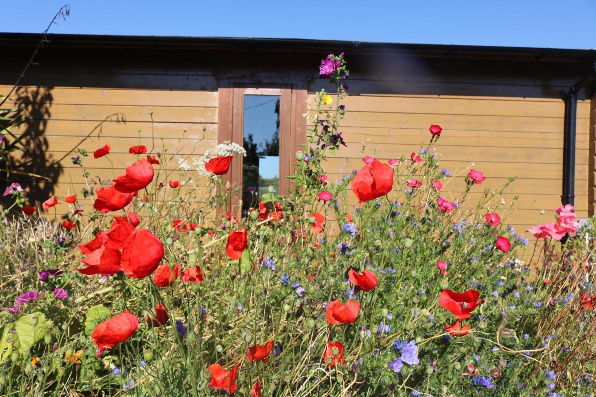 The Cabin Pipershill Newtownbutler Buitenkant foto